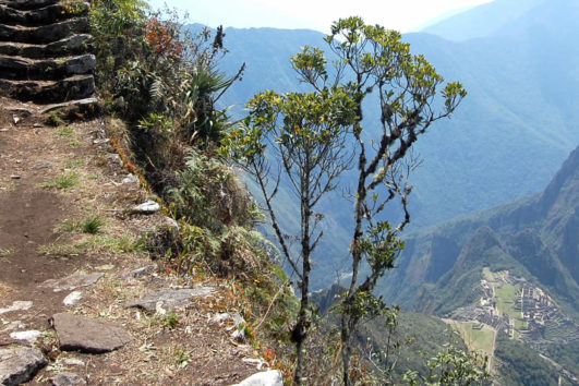 montaña machu picchu